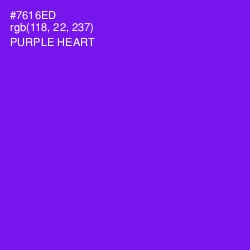 #7616ED - Purple Heart Color Image