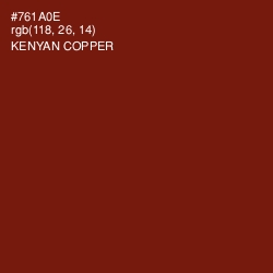 #761A0E - Kenyan Copper Color Image