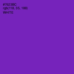 #7623BC - Royal Purple Color Image