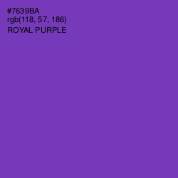 #7639BA - Royal Purple Color Image