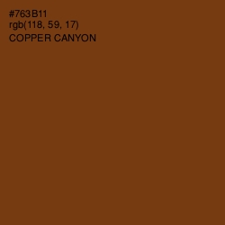 #763B11 - Copper Canyon Color Image