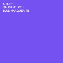 #7651F1 - Blue Marguerite Color Image