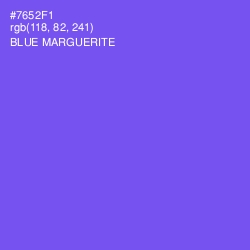 #7652F1 - Blue Marguerite Color Image