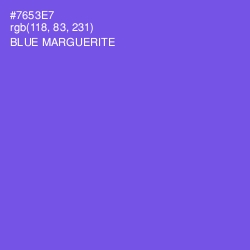 #7653E7 - Blue Marguerite Color Image