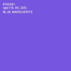 #7656E1 - Blue Marguerite Color Image