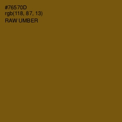 #76570D - Raw Umber Color Image