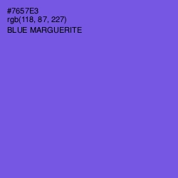 #7657E3 - Blue Marguerite Color Image