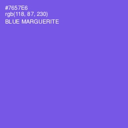 #7657E6 - Blue Marguerite Color Image