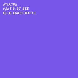 #7657E9 - Blue Marguerite Color Image