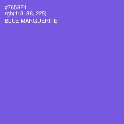 #7658E1 - Blue Marguerite Color Image