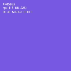 #7658E2 - Blue Marguerite Color Image