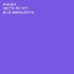 #7658E3 - Blue Marguerite Color Image