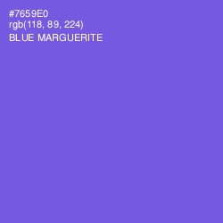 #7659E0 - Blue Marguerite Color Image