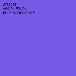 #7659E6 - Blue Marguerite Color Image