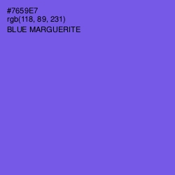 #7659E7 - Blue Marguerite Color Image