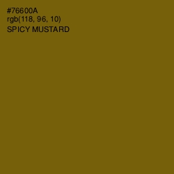 #76600A - Spicy Mustard Color Image