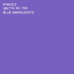 #7660C0 - Blue Marguerite Color Image