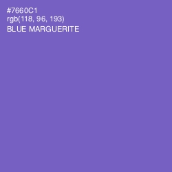 #7660C1 - Blue Marguerite Color Image