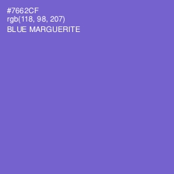 #7662CF - Blue Marguerite Color Image