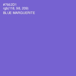 #7662D1 - Blue Marguerite Color Image