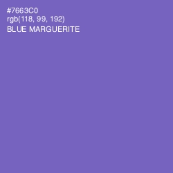 #7663C0 - Blue Marguerite Color Image