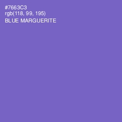 #7663C3 - Blue Marguerite Color Image