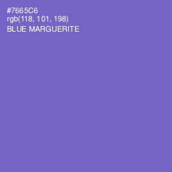 #7665C6 - Blue Marguerite Color Image