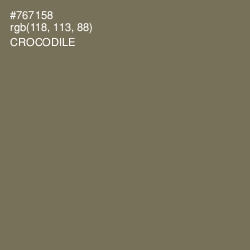 #767158 - Crocodile Color Image