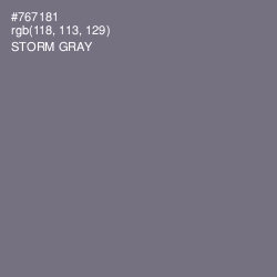 #767181 - Storm Gray Color Image