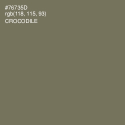 #76735D - Crocodile Color Image