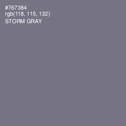 #767384 - Storm Gray Color Image