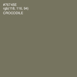 #76745E - Crocodile Color Image