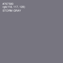 #767580 - Storm Gray Color Image