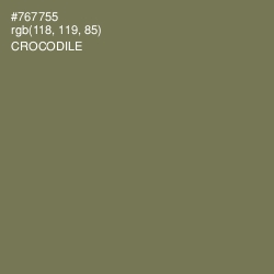 #767755 - Crocodile Color Image