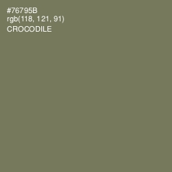 #76795B - Crocodile Color Image