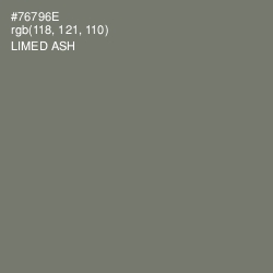 #76796E - Limed Ash Color Image