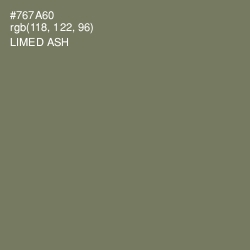 #767A60 - Limed Ash Color Image