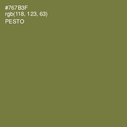 #767B3F - Pesto Color Image