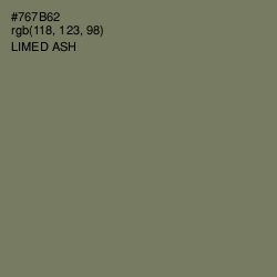 #767B62 - Limed Ash Color Image