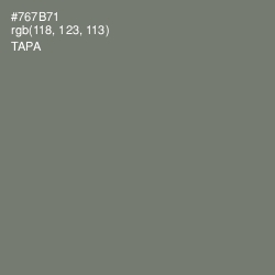 #767B71 - Tapa Color Image