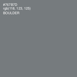 #767B7D - Boulder Color Image