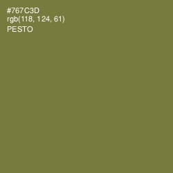 #767C3D - Pesto Color Image