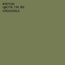 #767C53 - Crocodile Color Image