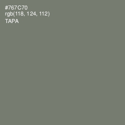 #767C70 - Tapa Color Image