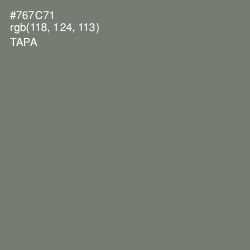 #767C71 - Tapa Color Image