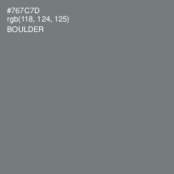 #767C7D - Boulder Color Image