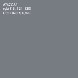 #767C82 - Rolling Stone Color Image