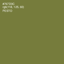 #767D3C - Pesto Color Image