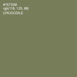 #767D58 - Crocodile Color Image