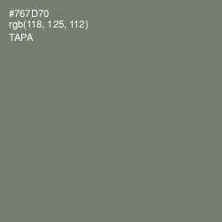 #767D70 - Tapa Color Image